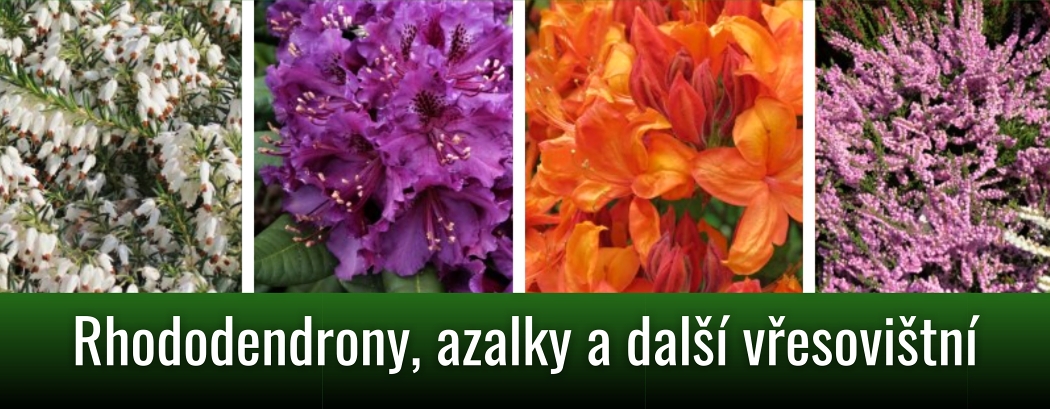 kategorie_Vresovistni 01OBm canva